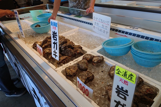 金浦産の岩ガキ