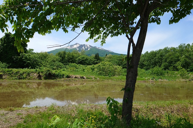 岩木山