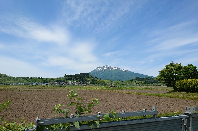 桜温泉周辺の景色