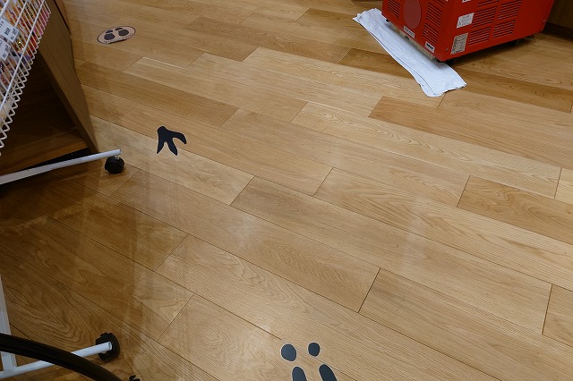 館内の床の恐竜の足跡