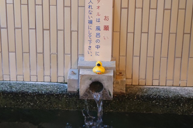 湯口のラバーダック