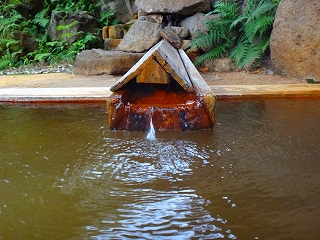 鷲倉温泉高原旅館の岩根の湯の湯口