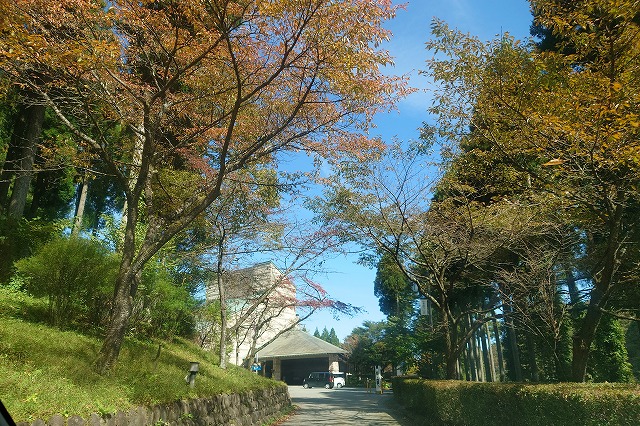 道の奥にはまゆう山荘