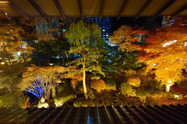 夜の松岡庭園