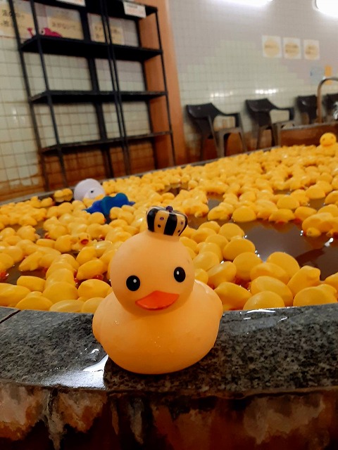 超アヒル風呂