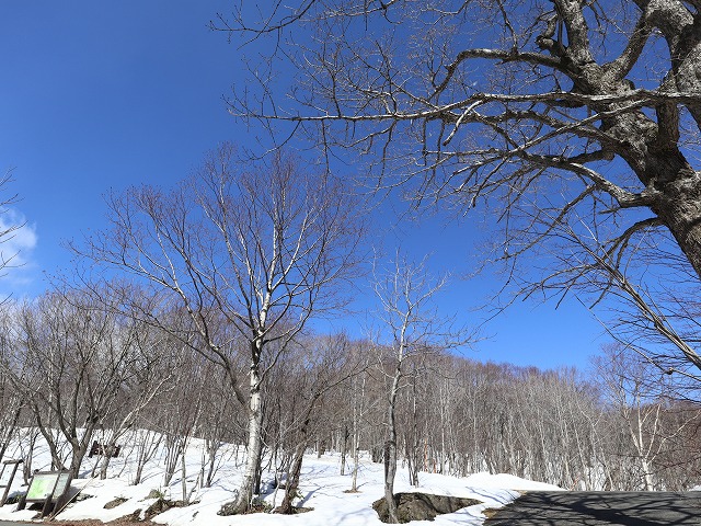 松川温泉峡雲荘の周辺環境