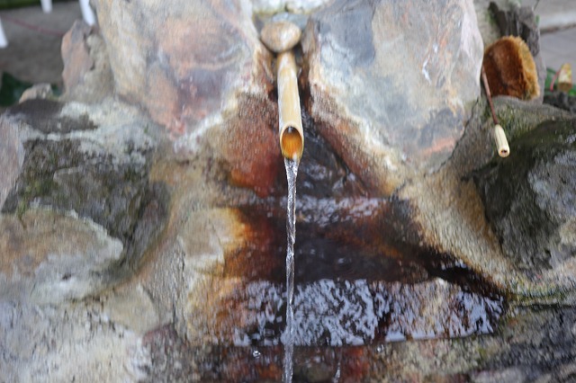 源泉
