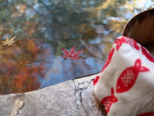 温泉と紅葉