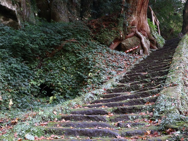 岩抱き杉と塩浸温泉神社