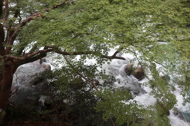 部屋から見る早川