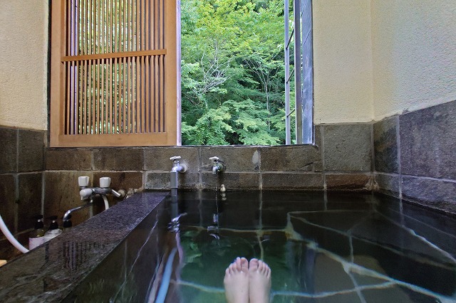 塔ノ沢一の湯本館の温泉付き部屋