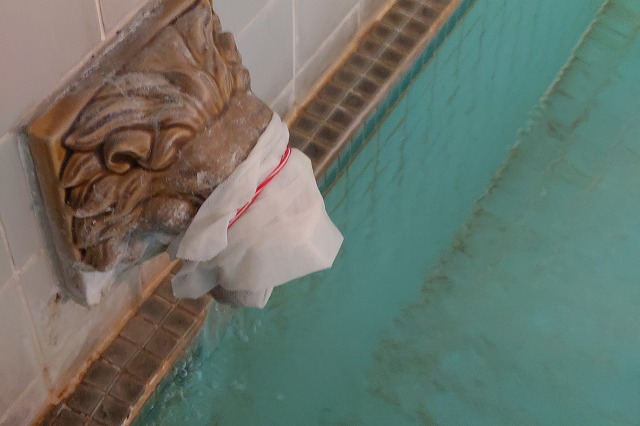 湯口のライオン