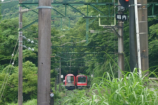 スイッチバックカフェのデッキから見るスイッチバック