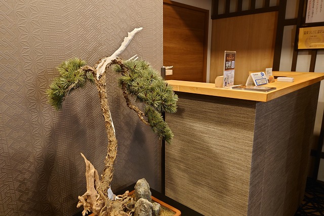 フロント前の盆栽