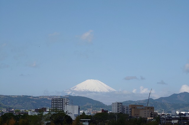 秦野から見る富士山