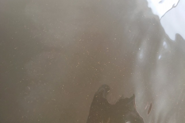 湯の花