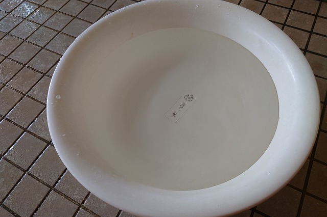 温泉の色