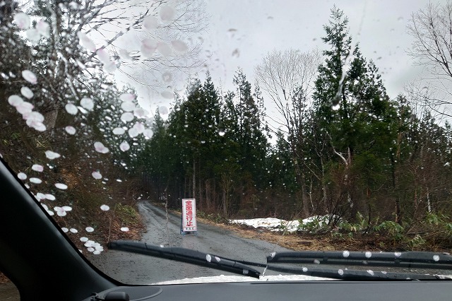 通行止めの看板