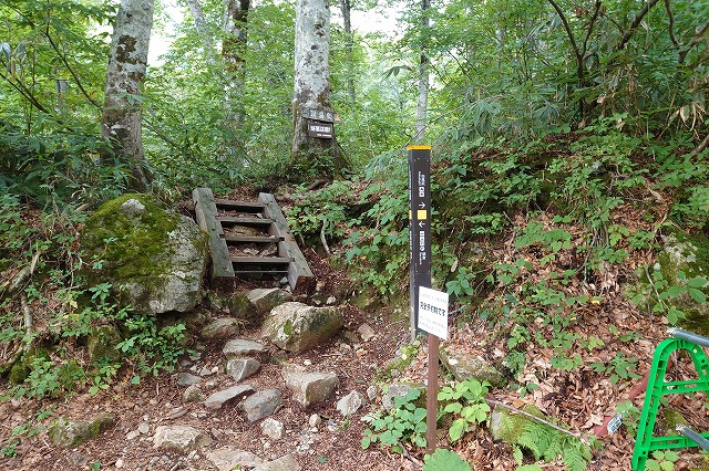 登山道のスタート