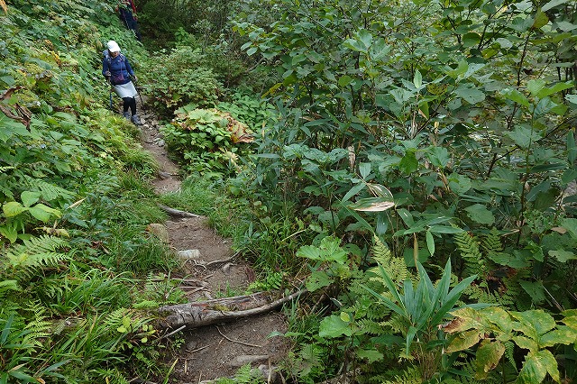 白馬鑓温泉までの登りが続く