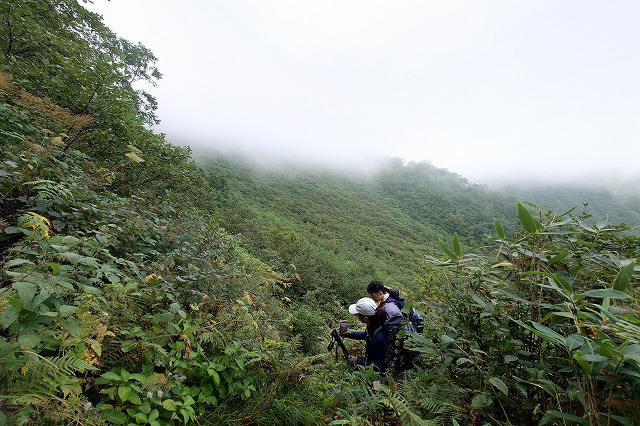 天気の悪い登山道