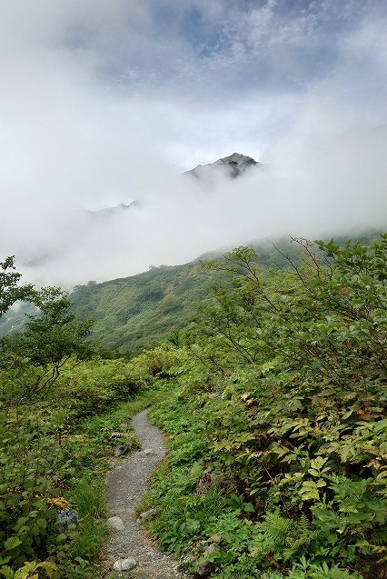 白馬鑓温泉への登山道は続く