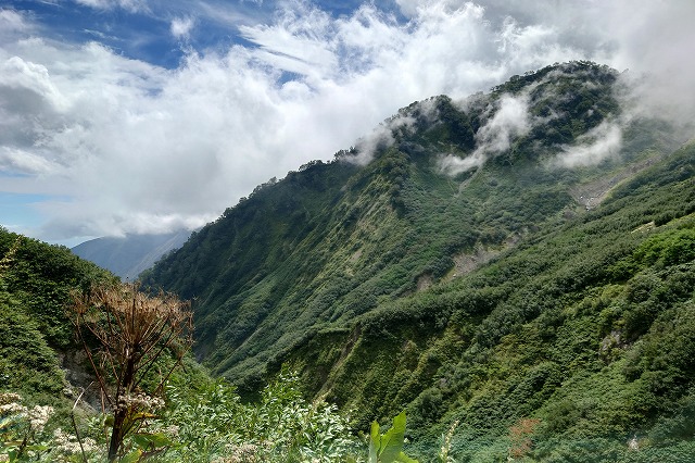 山の絶景