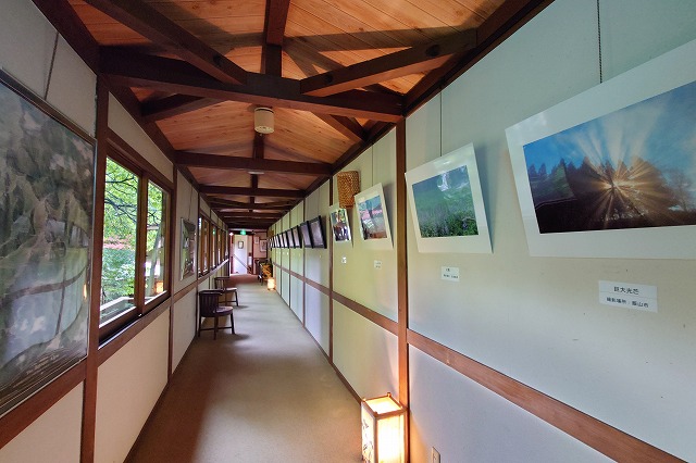 館内ギャラリー