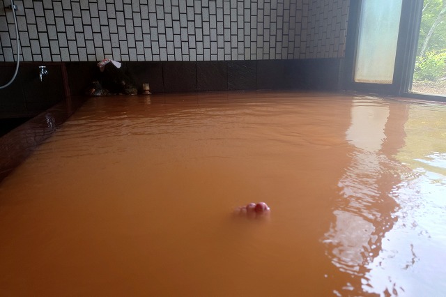 天狗温泉の濁り湯