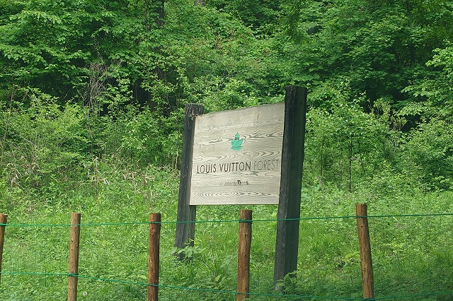 ルイ・ヴィトンの森