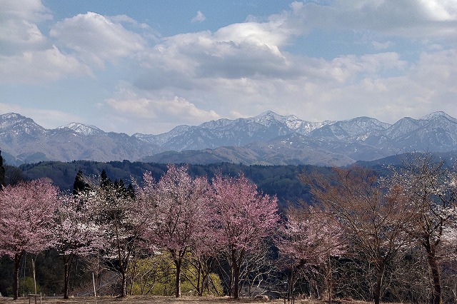 トマトの国から見える景色