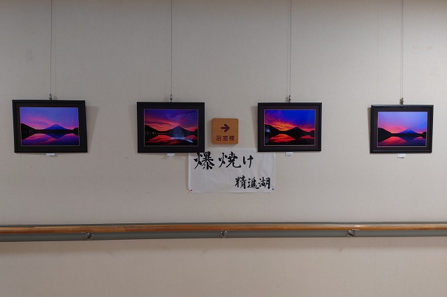 精進湖の写真