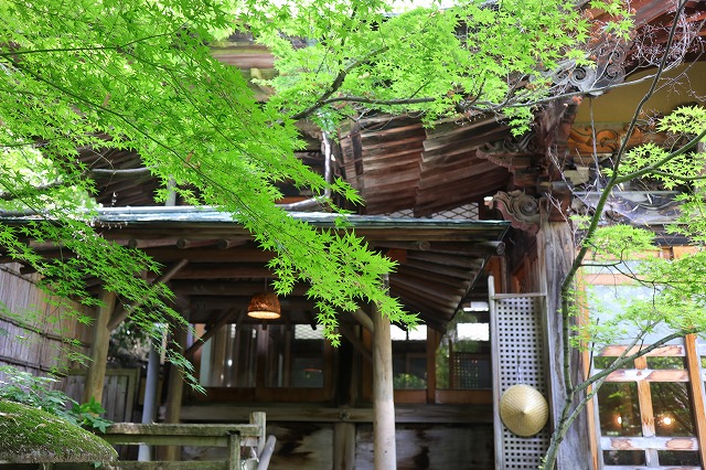 モミジと庭園露天風呂