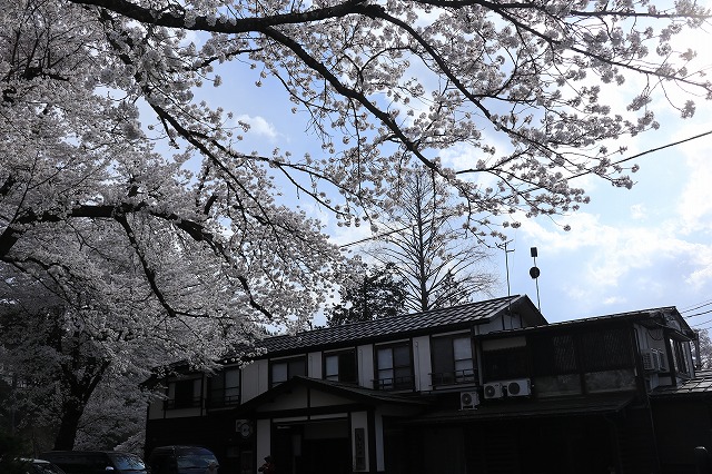 桜としなの荘外観