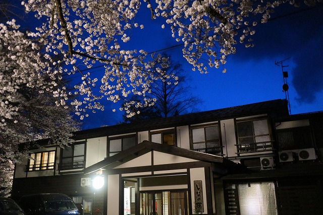 夜桜としなの荘