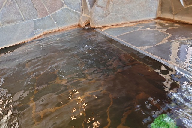 半露天風呂の浴槽