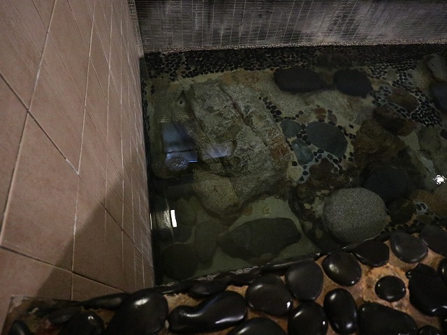 奥津荘の鍵湯の浴槽