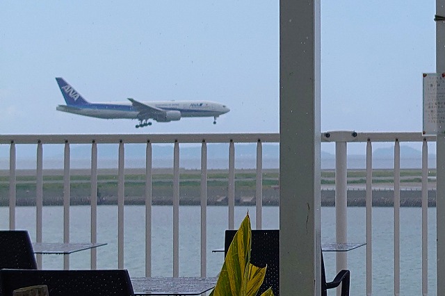 ウミカジテラスから見るANA機