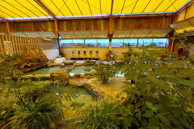 赤松温泉の植物