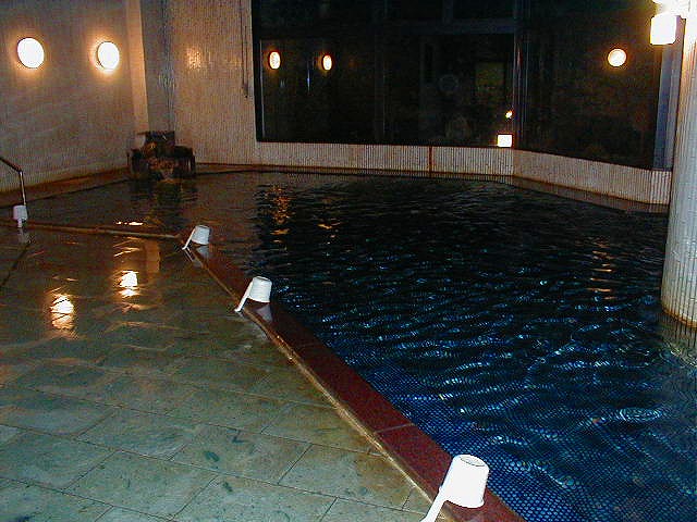 浜名湖ロイヤルホテルの内湯