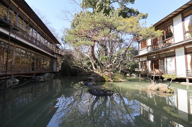 新井旅館の中庭の池