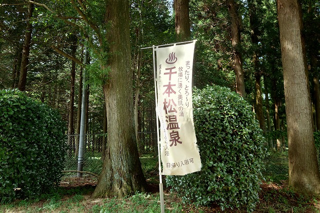 千本松温泉の幟