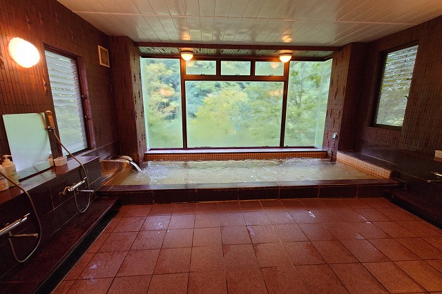 麻葉の湯　三河屋旅館の浴室