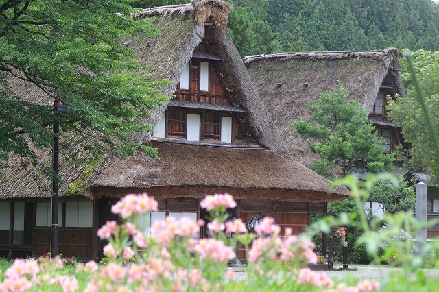 相倉集落の合掌造り