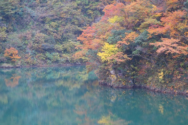 庄川峡の紅葉
