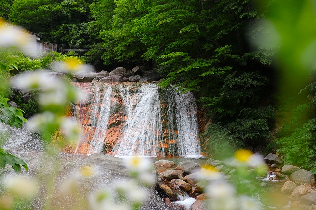 福島屋の滝