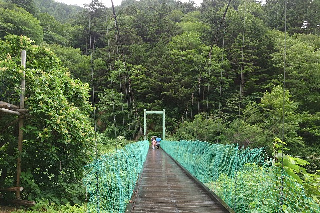 緑の橋を渡る