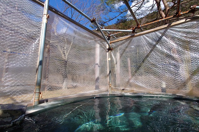 石の浴槽は屋根がない