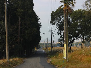 湯川内温泉近くの戦時中滑走路として使われた道路