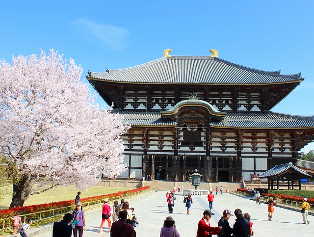 東大寺大仏殿 桜の古都巡り奈良観光旅行記